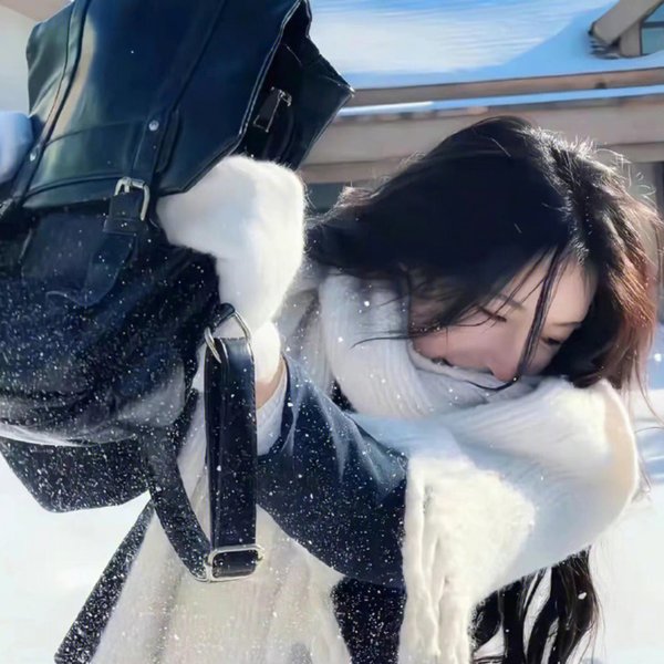 女仆日记